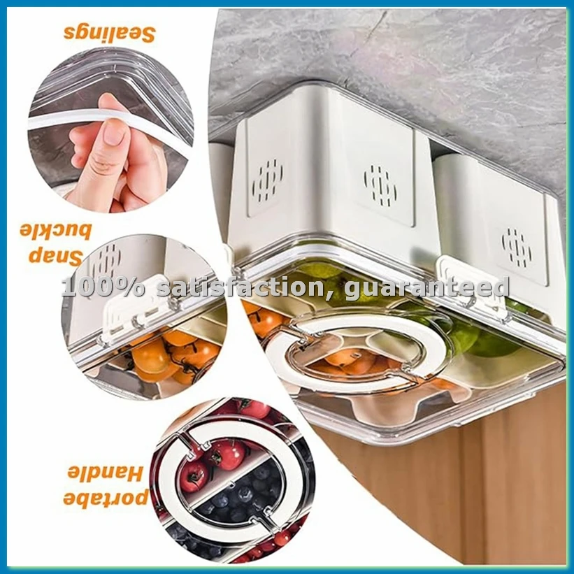 Food Storage Refrigerator - صينية فواكه للنزهات الكبيرة، صندوق تخزين