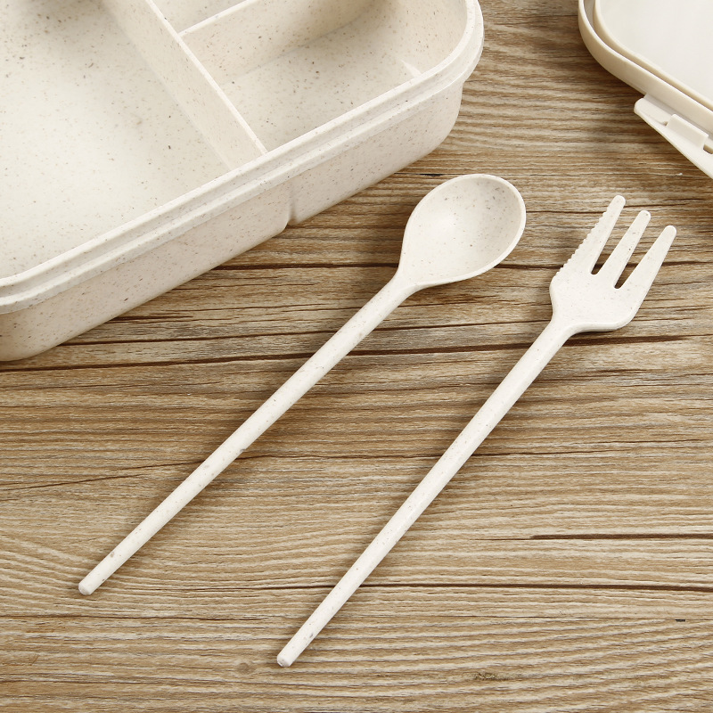 صندوق غداء جديد بتصميم سبونج ب - مراجعة Food Storage Design وسعره